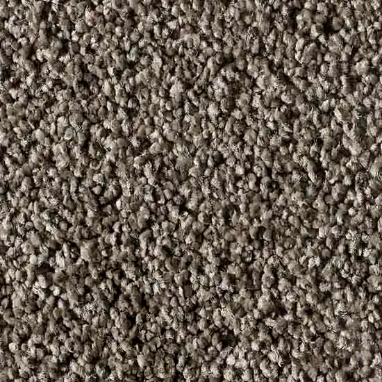 Victoria Carpets Arella Lusso Solution Dyed Nylon Carpet